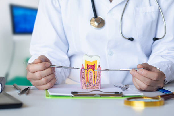 Best Emergency Dental Care for Broken or Chipped Teeth in Vienna, VA